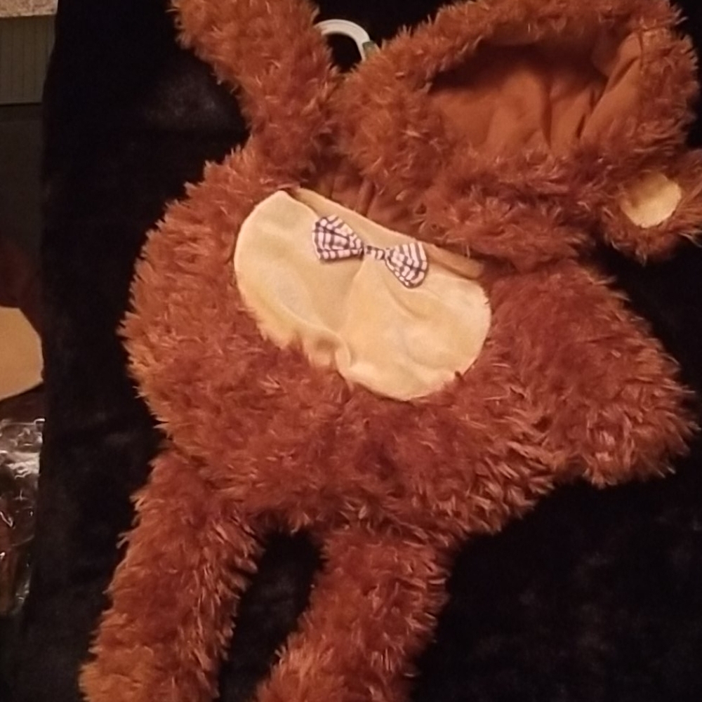 Dog Costume